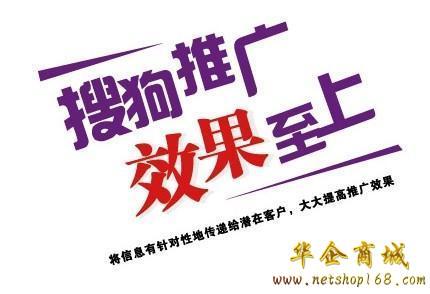 关于搜狗搜索推广的简单介绍