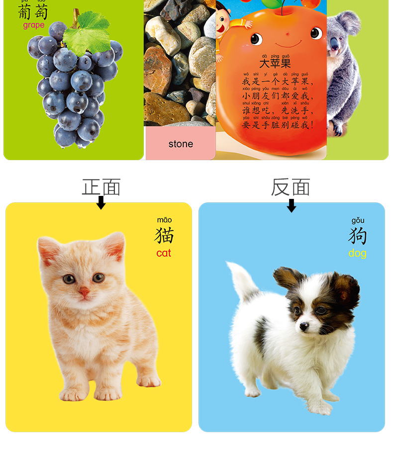 阳光宝贝启蒙全卡全套4册认知书籍婴儿早教卡06个月123岁宝宝撕不烂