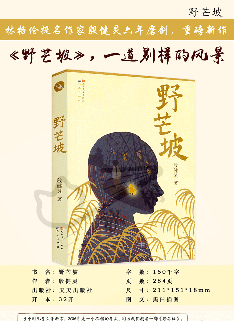 野芒坡殷健灵著儿童文学长篇力作三四五六年级小学生课外书籍男孩成长