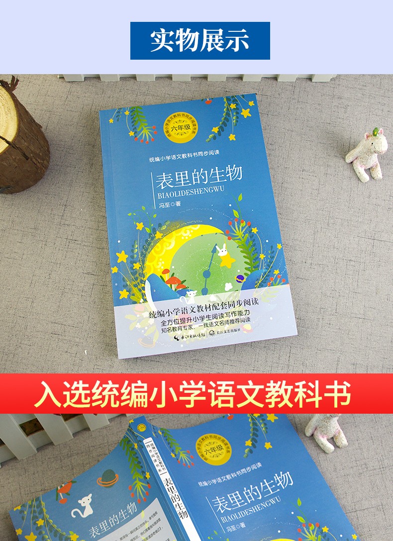 表里的生物冯至著六年级统编版小学语文教科书同步阅读书系小学六年级