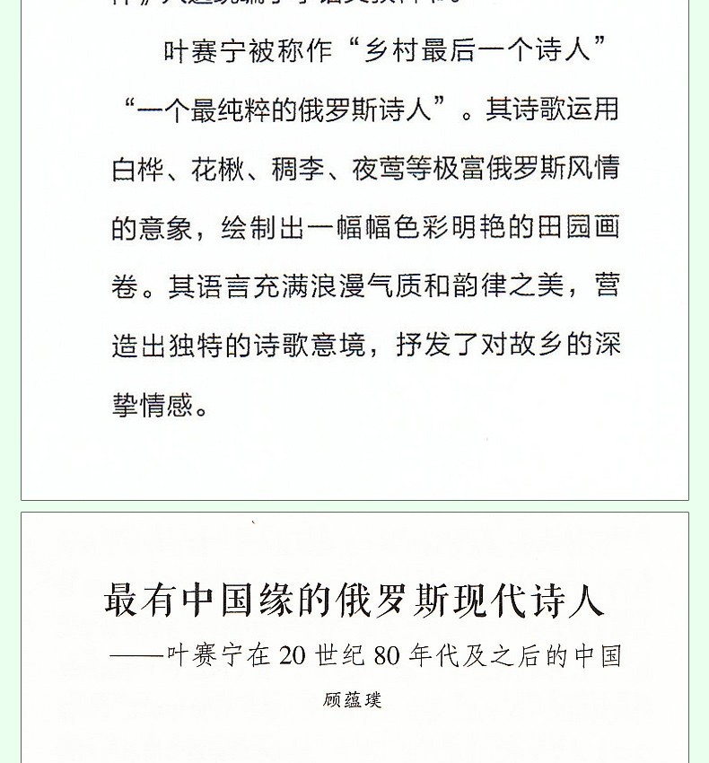 白桦诗集叶赛宁的抒情诗统编版小学语文教科书同步阅读书系四年级下册