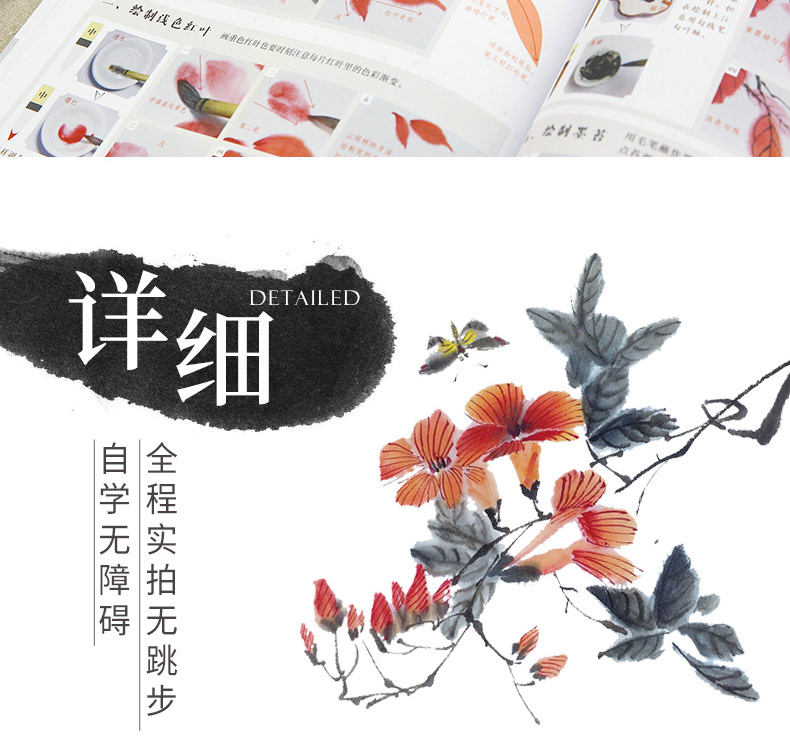 零基础学画画 国画临摹书写意梅兰竹菊 写意技法 花鸟鱼虫 初学者水墨