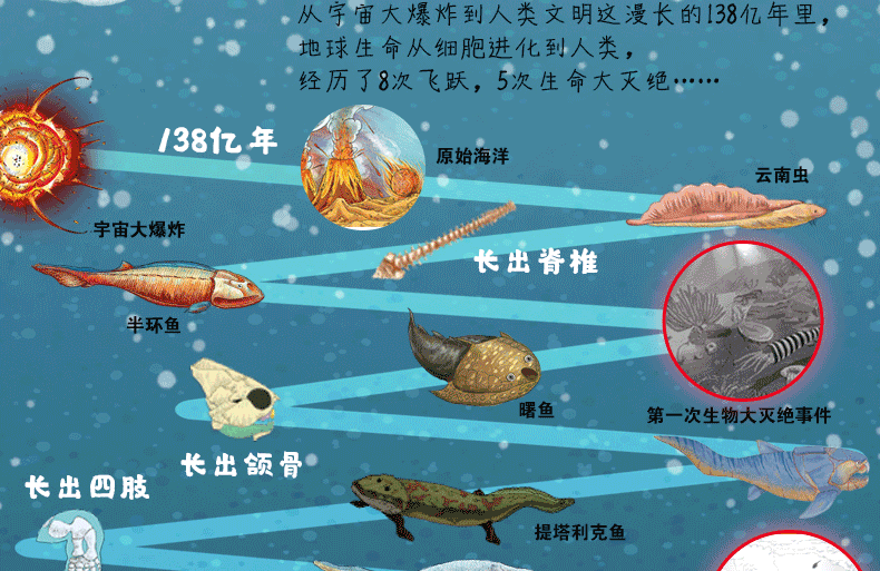 生命简史 地球简史全2册 从宇宙起源到人类文明精装版