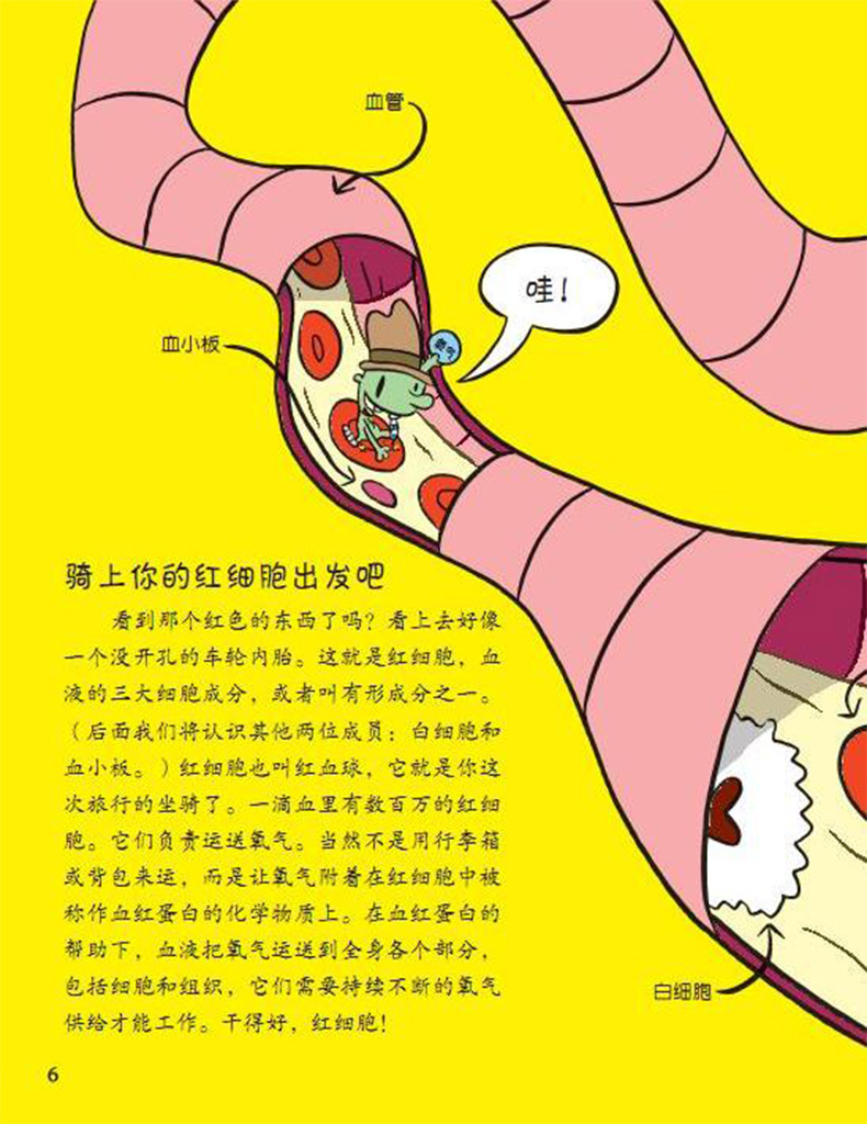 正版血液循环之旅绘本平装美国青少年馆协会选书小学生科普图画67810