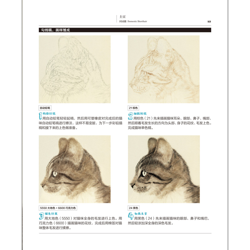 彩铅画色铅笔绘画入门铅笔素描画彩铅涂色绘画书绘画教材美术书籍-卖