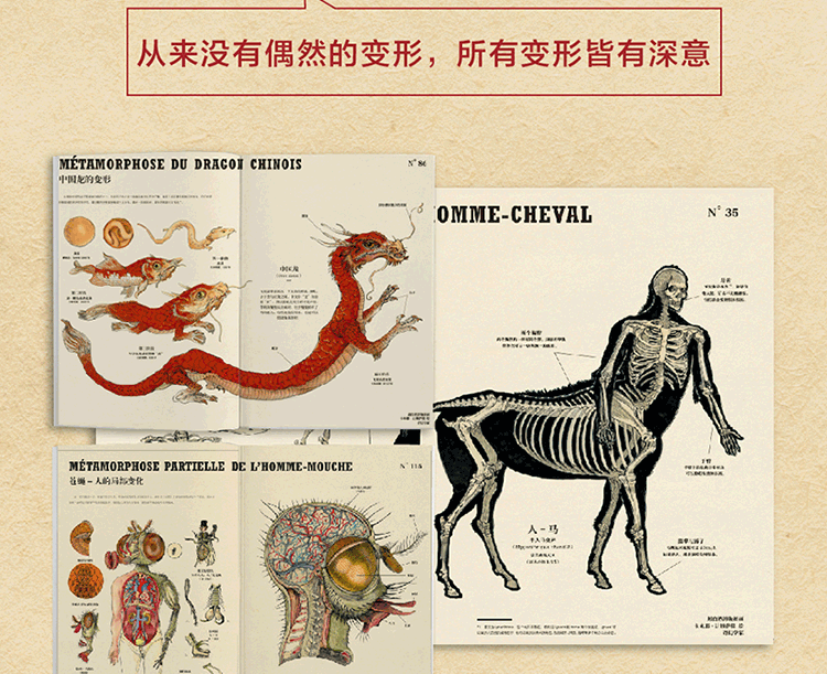 家的神秘动物图鉴姊妹篇超大幅手绘解剖图诠释超现实变形之美神奇动物