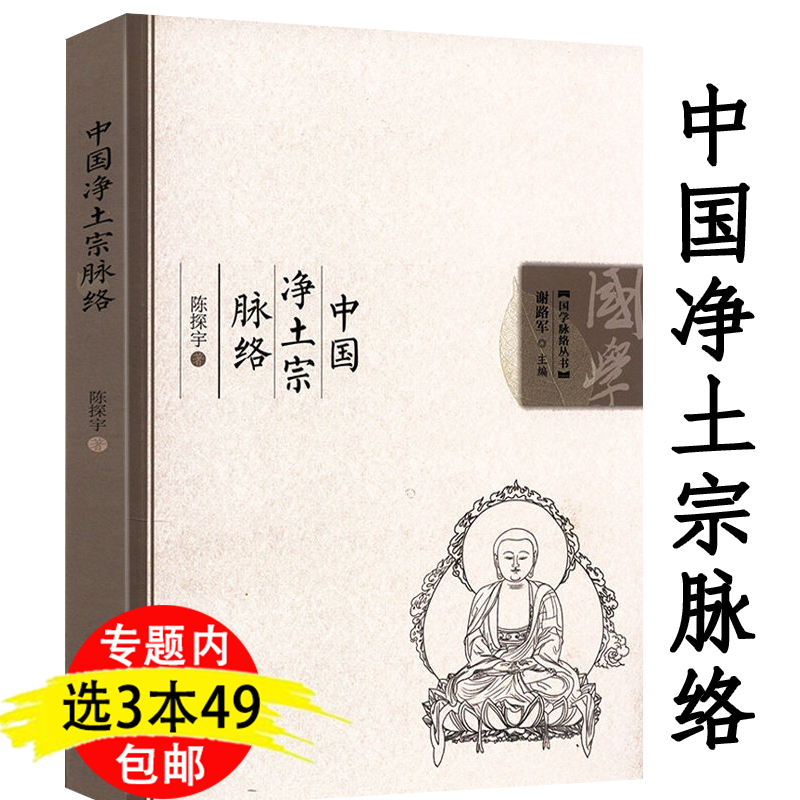 中国净土宗脉络/净土宗教程及其祖庭渊源临终助念法大全大乘禅法无量