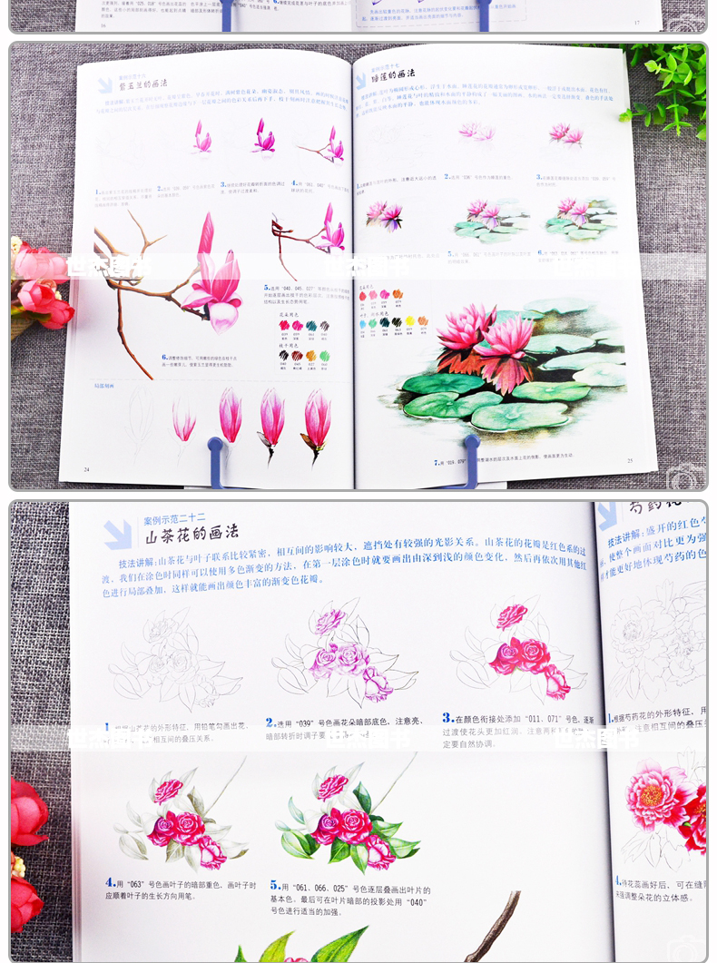 正版彩色铅笔画教程全套4册美丽花草水果动物彩铅画入门自学零基础
