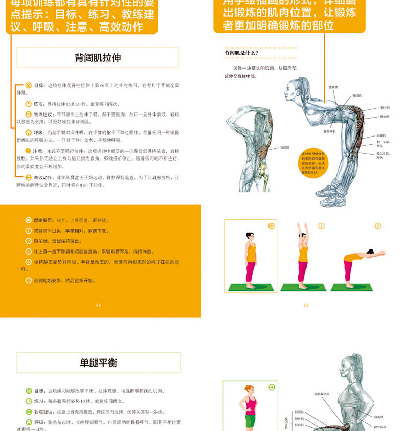 书籍普拉提解剖学图解普拉提初学到高手教材教程重塑健康体态拉伸书