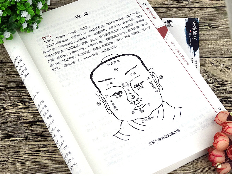 足本全译相面书相书相法断面相手相推算运势风水占卜玄学相术易学书籍