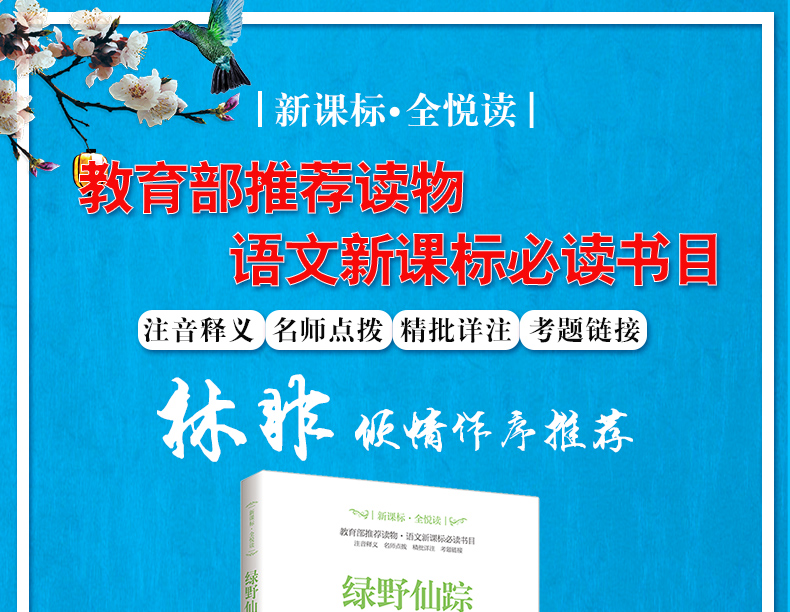 绿野仙踪教育部推荐阅读丛书籍推荐读物中小学生青少年语文新课标必读书目世界文学名著书籍HD