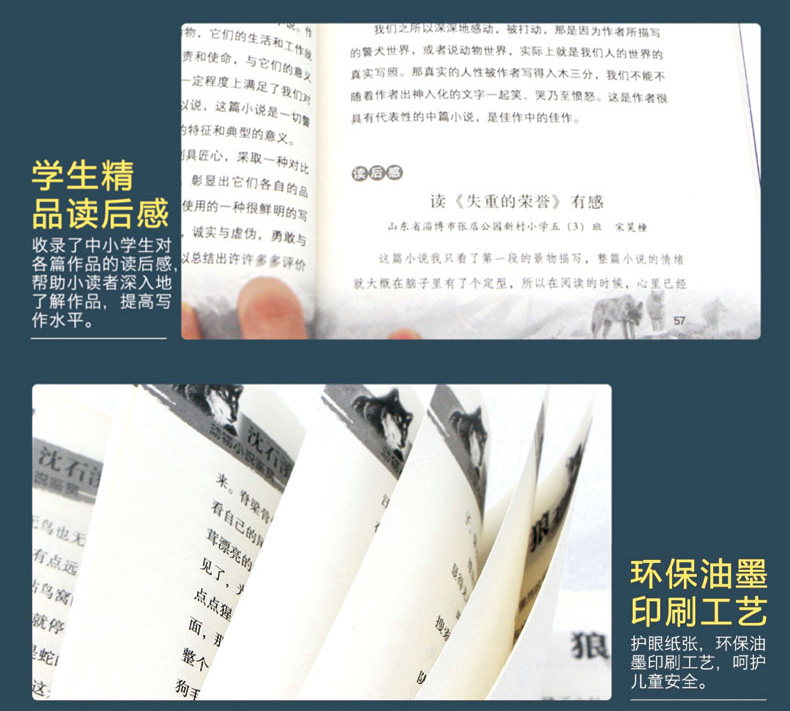 沈石溪动物小说全集鉴赏8册猴狼王梦象豹王火焰冰月小学生课外阅读必读三四五六年级课外文学小说书籍HD
