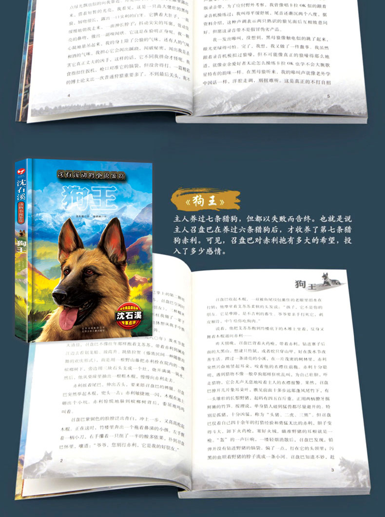 沈石溪动物小说全集鉴赏8册猴狼王梦象豹王火焰冰月小学生课外阅读必读三四五六年级课外文学小说书籍HD