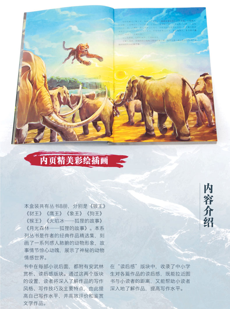 沈石溪动物小说全集鉴赏8册猴狼王梦象豹王火焰冰月小学生课外阅读必读三四五六年级课外文学小说书籍HD