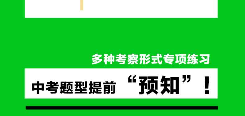 新版学而思秘籍 初中物理电学专项突破 初二三八九年级中考物理电学中学教辅全解突破