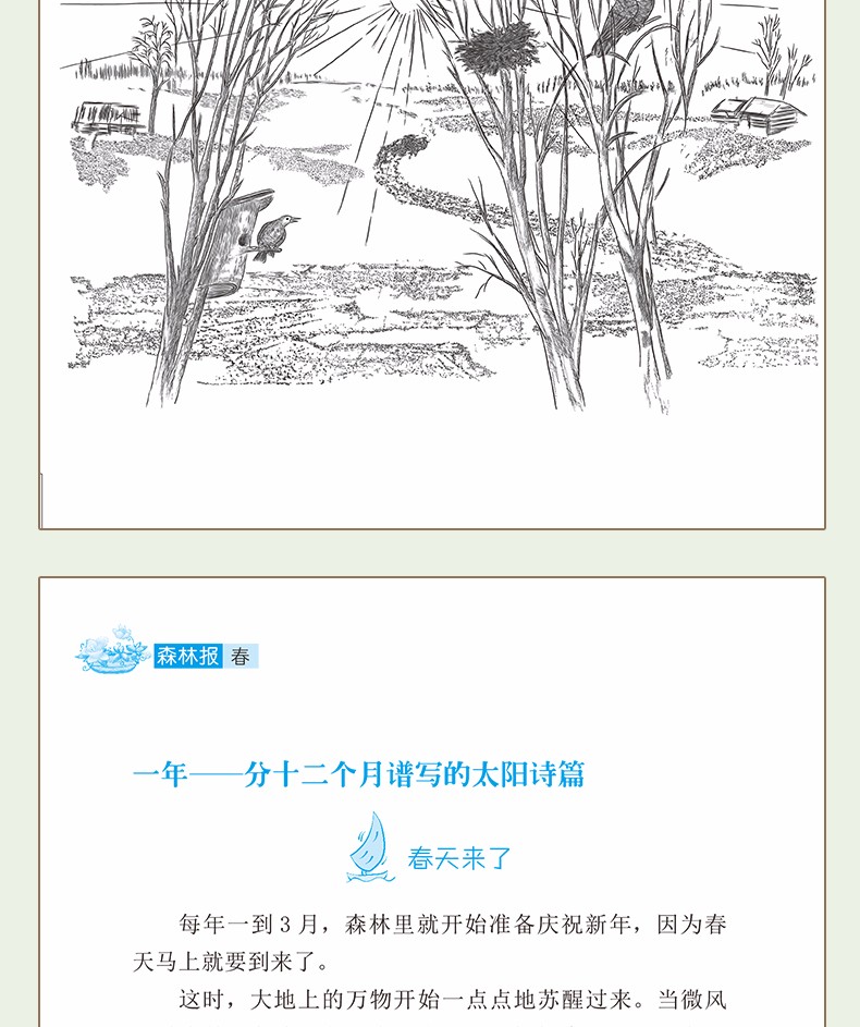 森林报春夏秋冬全四册五年级全集课外书10-15岁必读的三四年级班主任老师推荐小学生课外阅读书HD