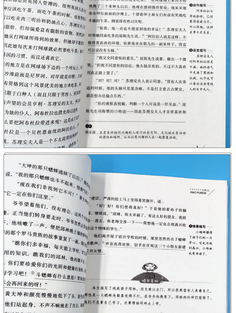 小仆人 无障碍精读版 叶君健著 爱阅读 语文新课标必读丛书 小学生三四五六年级课外阅读青少年课外阅读
