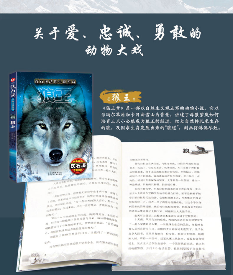 沈石溪动物小说全集鉴赏8册猴狼王梦象豹王火焰冰月小学生课外阅读必读三四五六年级课外文学小说书籍HD
