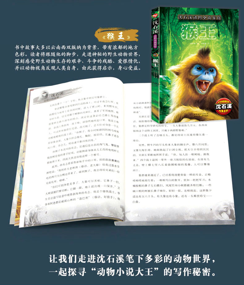 沈石溪动物小说全集鉴赏8册猴狼王梦象豹王火焰冰月小学生课外阅读必读三四五六年级课外文学小说书籍HD