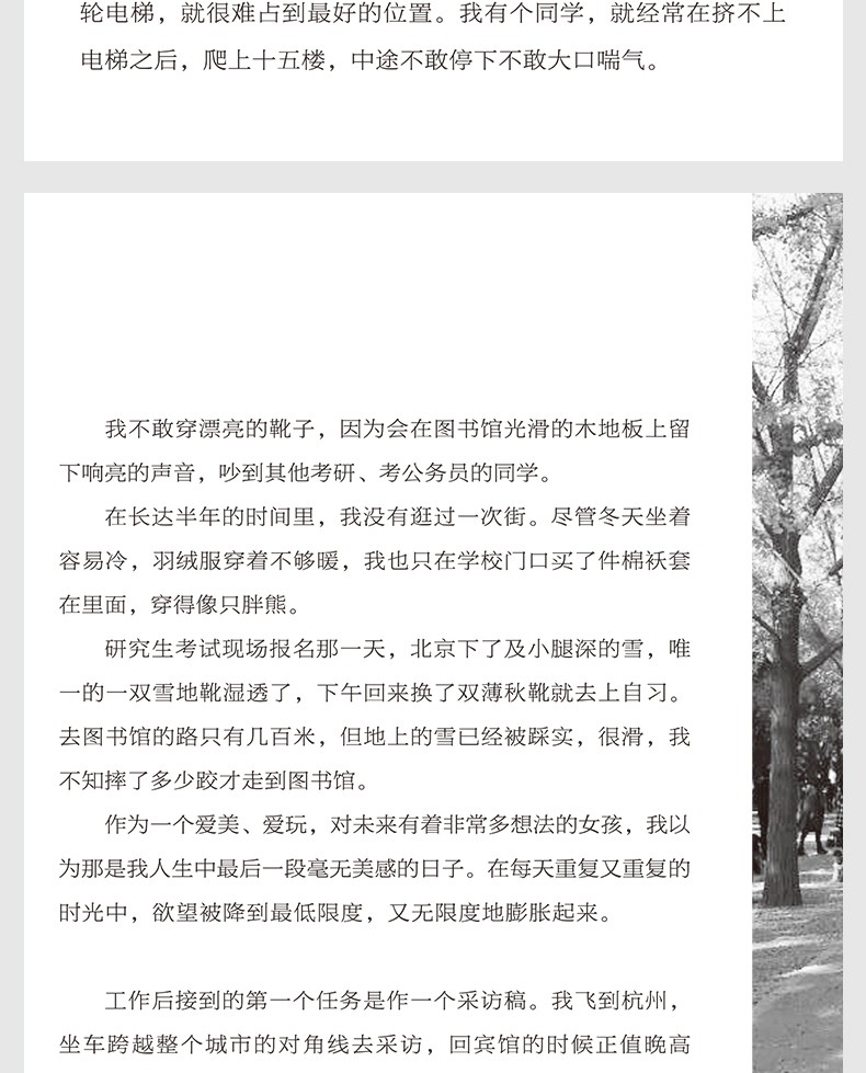 兵荒马乱的年纪从容盛放的你不惧岁月身上有光青春励志小说中国现当代人生哲学文学励志散文图书畅销HD