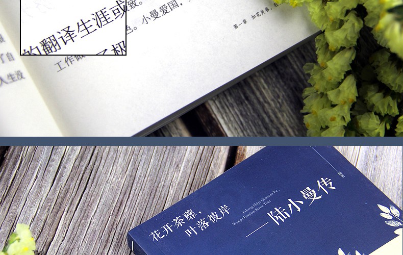 陆小曼传花开茶蘼叶落彼岸讲述陆小曼随性自我敢爱敢恨的烟火人生记录民国才女的一生名人传记励志书籍HD