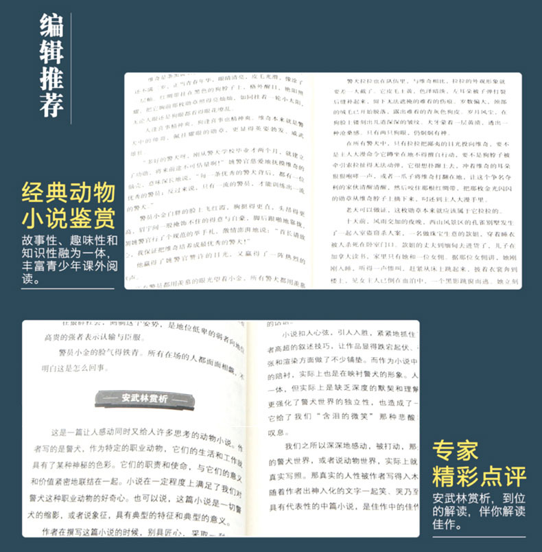 沈石溪动物小说全集鉴赏8册猴狼王梦象豹王火焰冰月小学生课外阅读必读三四五六年级课外文学小说书籍HD