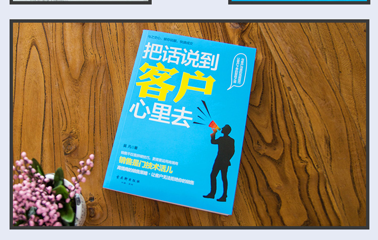 把话说到客户心里去 马云、刘强东、王健林、周鸿祎秘而不宣的销售心经 电商营销管理学 口才术