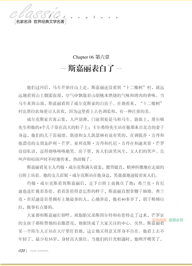 飘正版名家名译世界经典文学名著原汁原味读原著青少年励志畅销书籍新课标必读初中生必读书籍课外