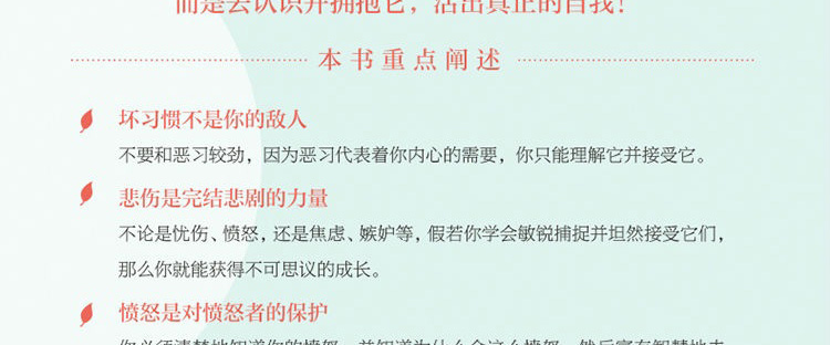 武志红感谢自己的不完美2017新版改变千万青年的疗愈经典心理学书作家的书心灵成长成功励志书