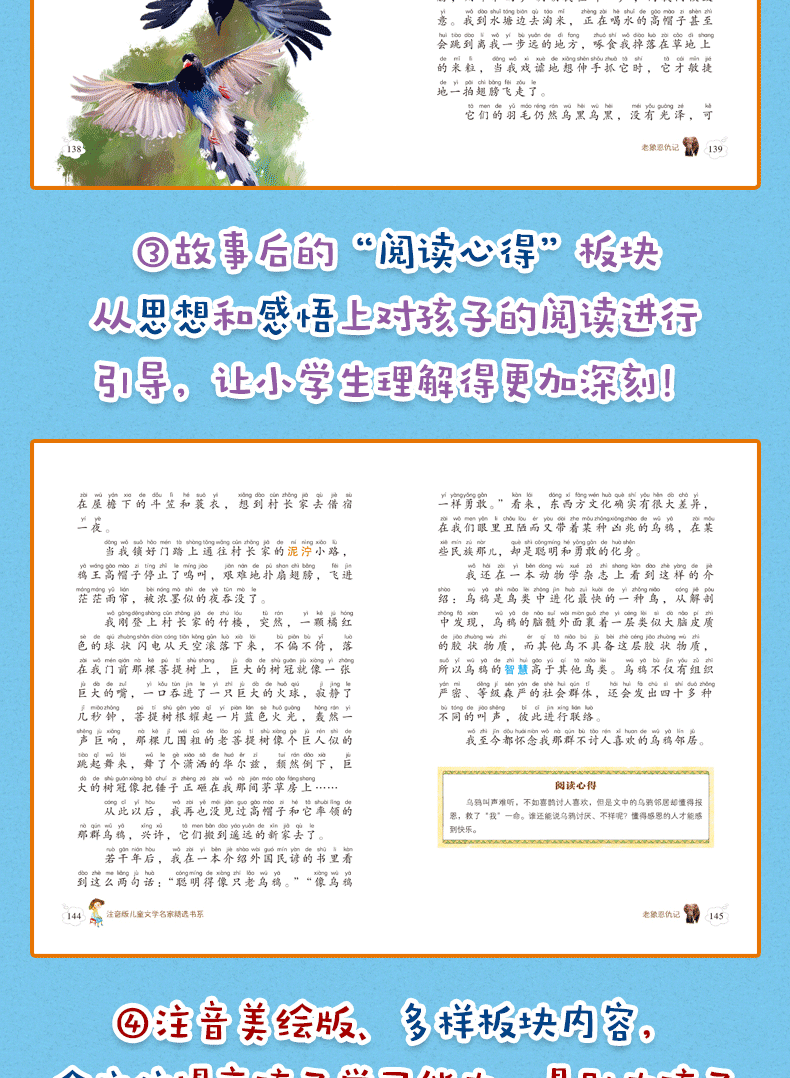 老象恩仇记 沈石溪著 彩图注音版 小小读书熊系列儿童文学名家精选 小学生语文新课标读物