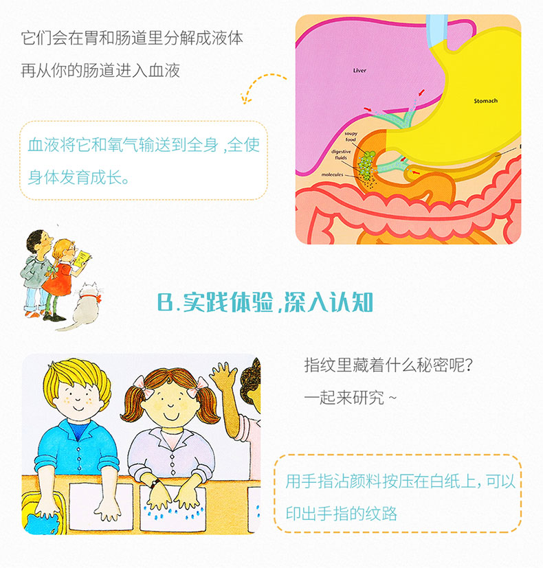 【点读版】凯迪克图书 科学启蒙之人体2（7册）Let’s read and find out science系列 Human Body 2 英文原版绘本 英语启蒙