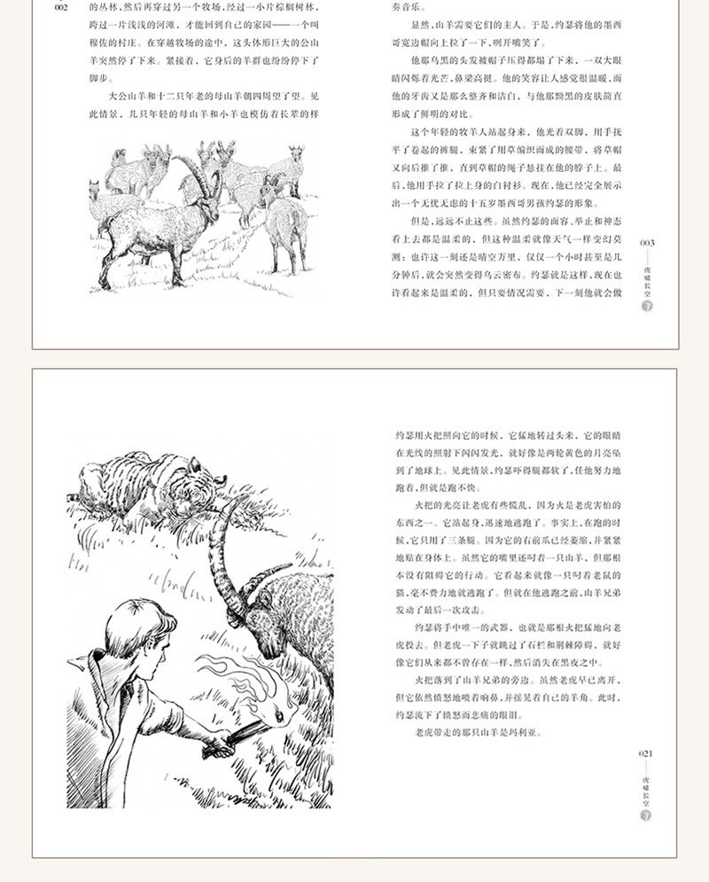 沈石溪动物小说全集 正版全套8册 沈石溪写的激情动物小说品藏书系 小学生课外阅读书籍四五六年级儿童文学故事读物经典书目畅销书