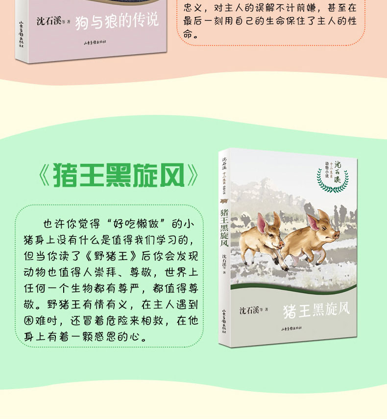 沈石溪十二生肖动物小说 全套12册 旅鼠传奇龙鸟传奇狗与狼的传说十二生肖故事书儿童读物初中小学生四五六年级课外阅读书畅销书籍