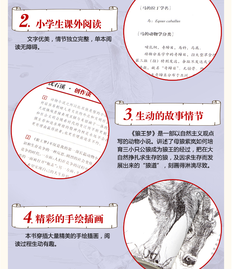 任选5本沈石溪动物小说全集 套装全套12册全系列 狼王梦正版 第七条猎狗经典书籍 小学生保姆蟒六年级最后一头战象斑羚飞渡 34新版