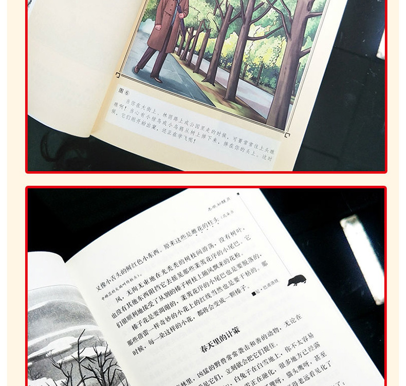 森林报 春夏秋冬 正版全套全四册 苏联维.比安基 四年级下册上册必读经典书目小学生课外阅读书籍儿童文学8—12岁少儿读物故事全集