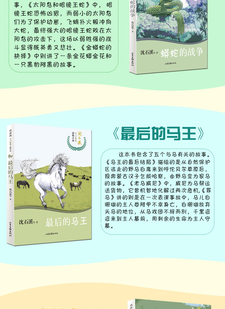 沈石溪十二生肖动物小说 全套12册 旅鼠传奇龙鸟传奇狗与狼的传说十二生肖故事书儿童读物初中小学生四五六年级课外阅读书畅销书籍