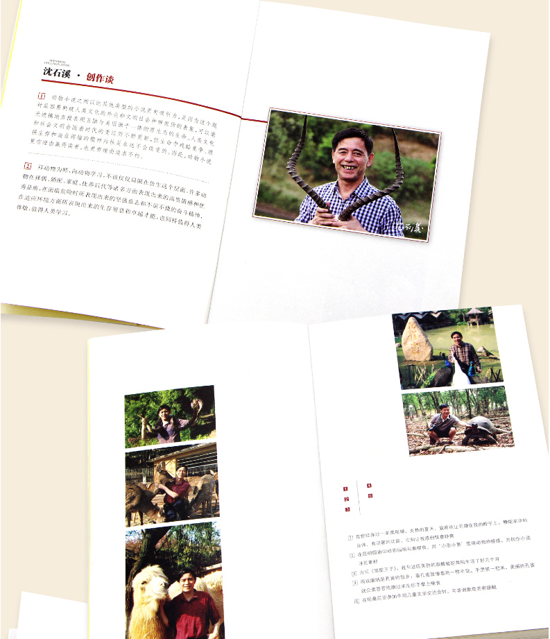 任选5本沈石溪动物小说全集 套装全套12册全系列 狼王梦正版 第七条猎狗经典书籍 小学生保姆蟒六年级最后一头战象斑羚飞渡 34新版