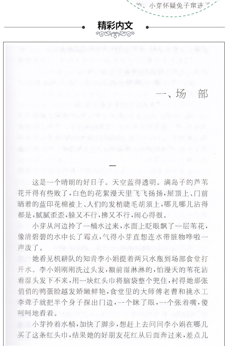 亲亲我的妈妈 黄蓓佳 小学生课外阅读书籍三四五六年级儿童文学读物温情成长校园小说故事畅销书老师推荐