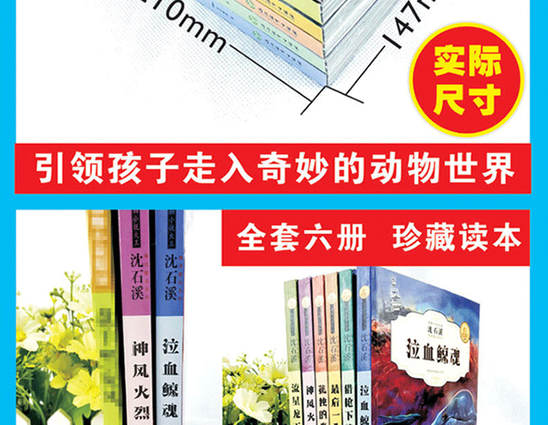 沈石溪动物小说全集全套35册经典书目狼王遗梦狮王的崛起狼王梦10-12-15岁四五六七年级初中生小学生必读课外阅读书籍畅销书排行榜