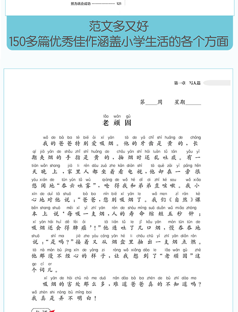 周计划 二年级 小学语文阅读强化训练100篇+语文基础知识强化训练+小学作文高分范文精选 题型训练思路讲解 优秀写作素材练习书籍