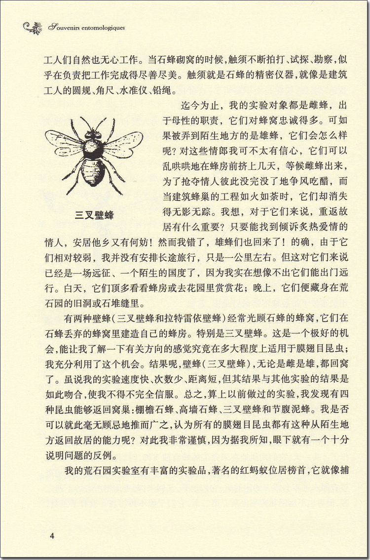 昆虫记法布尔正版书原著昆虫记译林出版社单本初中生初中版课外阅读