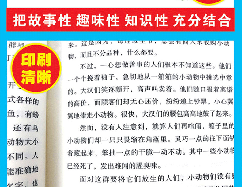 沈石溪动物小说全集全套35册经典书目狼王遗梦狮王的崛起狼王梦10-12-15岁四五六七年级初中生小学生必读课外阅读书籍畅销书排行榜