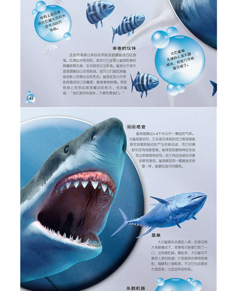 dk生物大揭秘海洋生物精装约翰伍德沃德61215岁青少年科普百科大全书