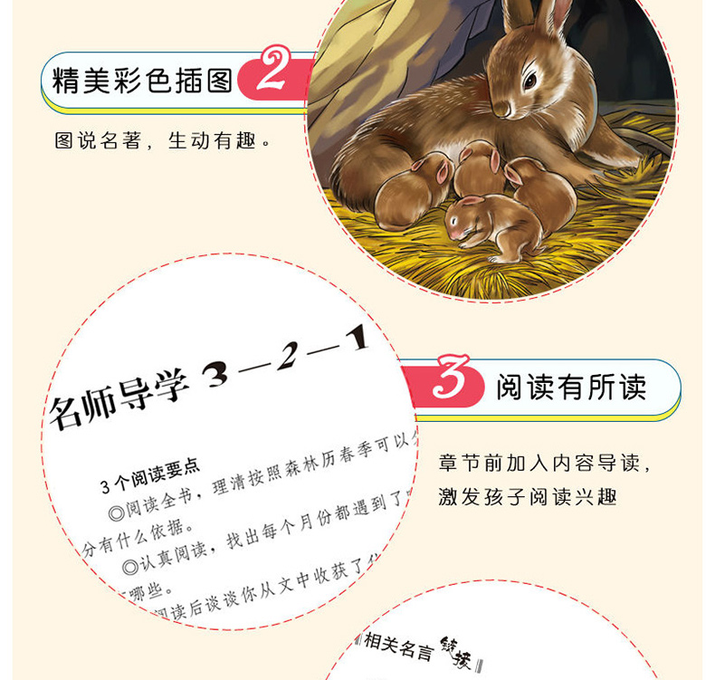 森林报 春夏秋冬 正版全套全四册 苏联维.比安基 四年级下册上册必读经典书目小学生课外阅读书籍儿童文学8—12岁少儿读物故事全集