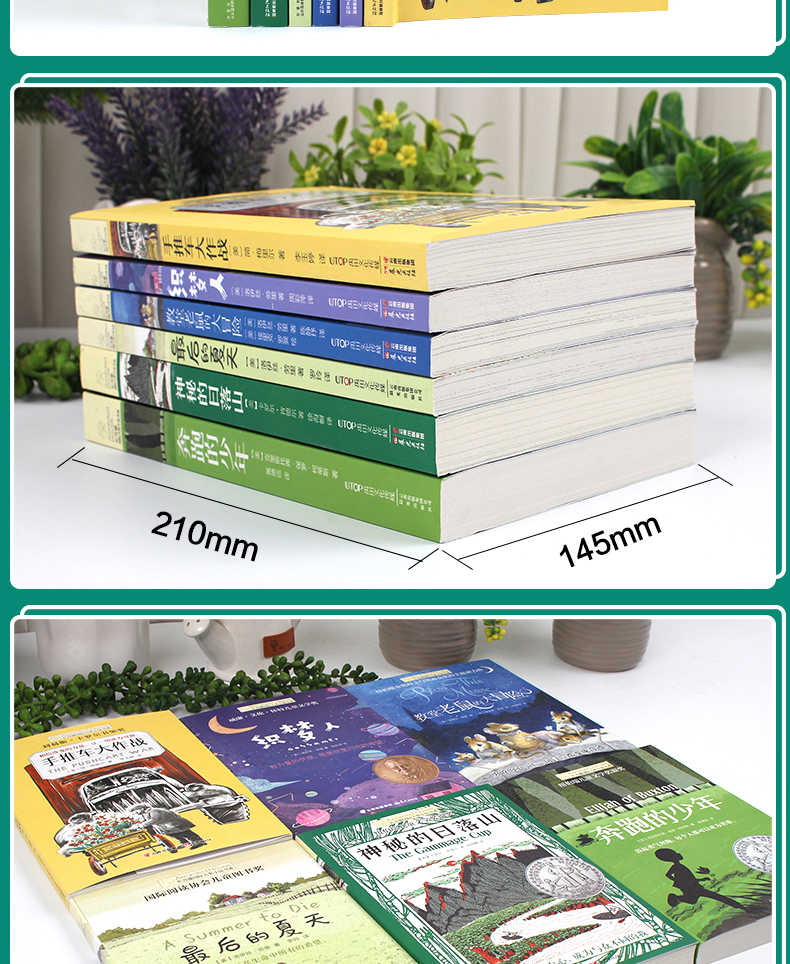 长青藤国际大奖小说书系第七辑全6册小学生课外阅读书籍三四五年级必读经典书目儿童文学读物8一10-12-15岁教堂老鼠的大冒险织梦人