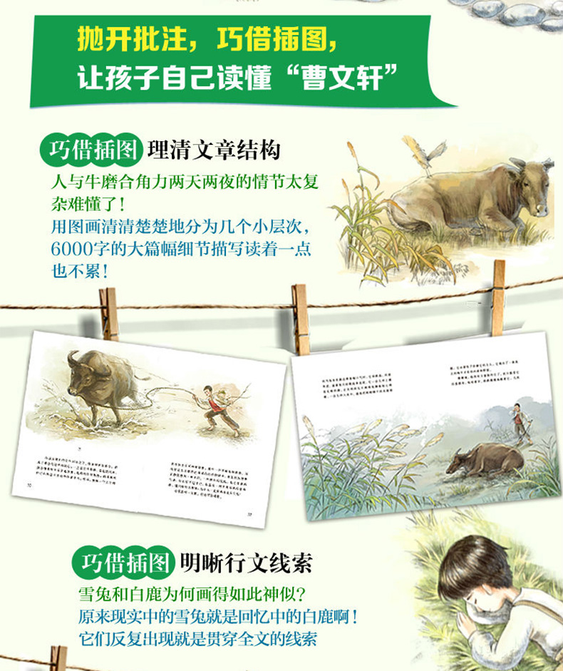 曹文轩画本 文学经典 共4册 小学生课外阅读书籍 6-10-12岁儿童校园文学畅销读物 四五六年级必读课外书 儿童故事书儿童文学读物