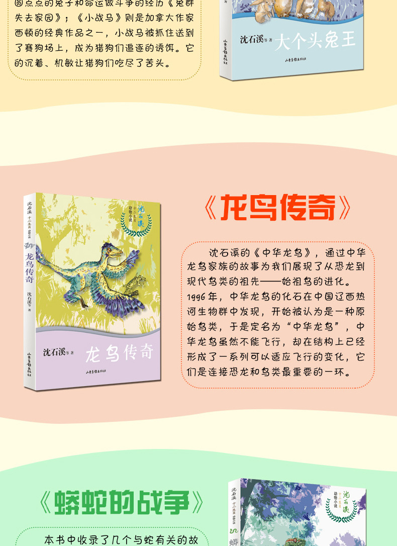 沈石溪十二生肖动物小说 全套12册 旅鼠传奇龙鸟传奇狗与狼的传说十二生肖故事书儿童读物初中小学生四五六年级课外阅读书畅销书籍