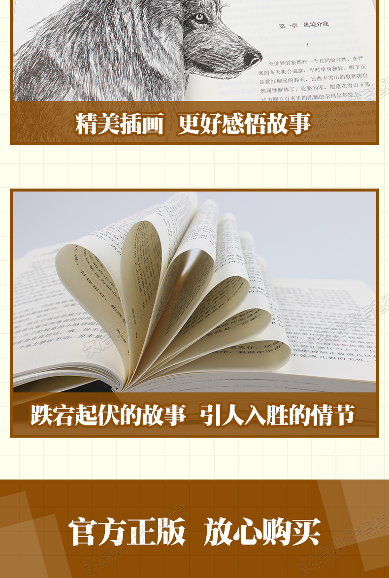 六年级课外阅读书籍全套4册 三国演义原著小学生版五六年级 正版 绿山墙的安妮书 必读草房子曹文轩狼王梦沈石溪老师推荐