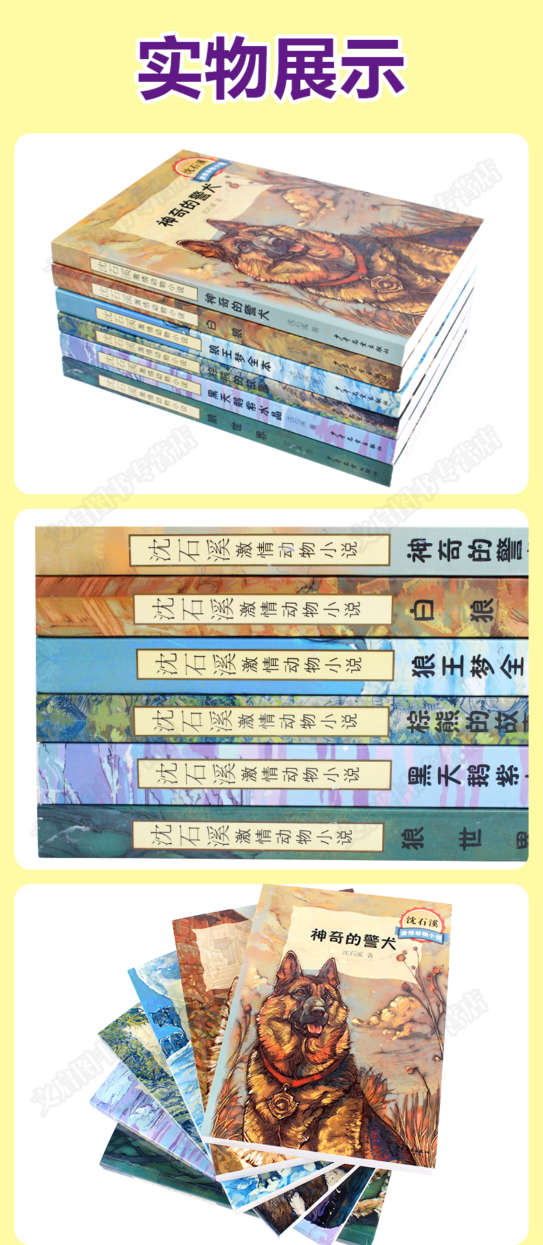 沈石溪动物小说全集全套6册 狼王梦正版狼全系列的书三四五六年级小学生课外阅读书籍必读经典书目老师推荐小学儿童读物文学畅销书