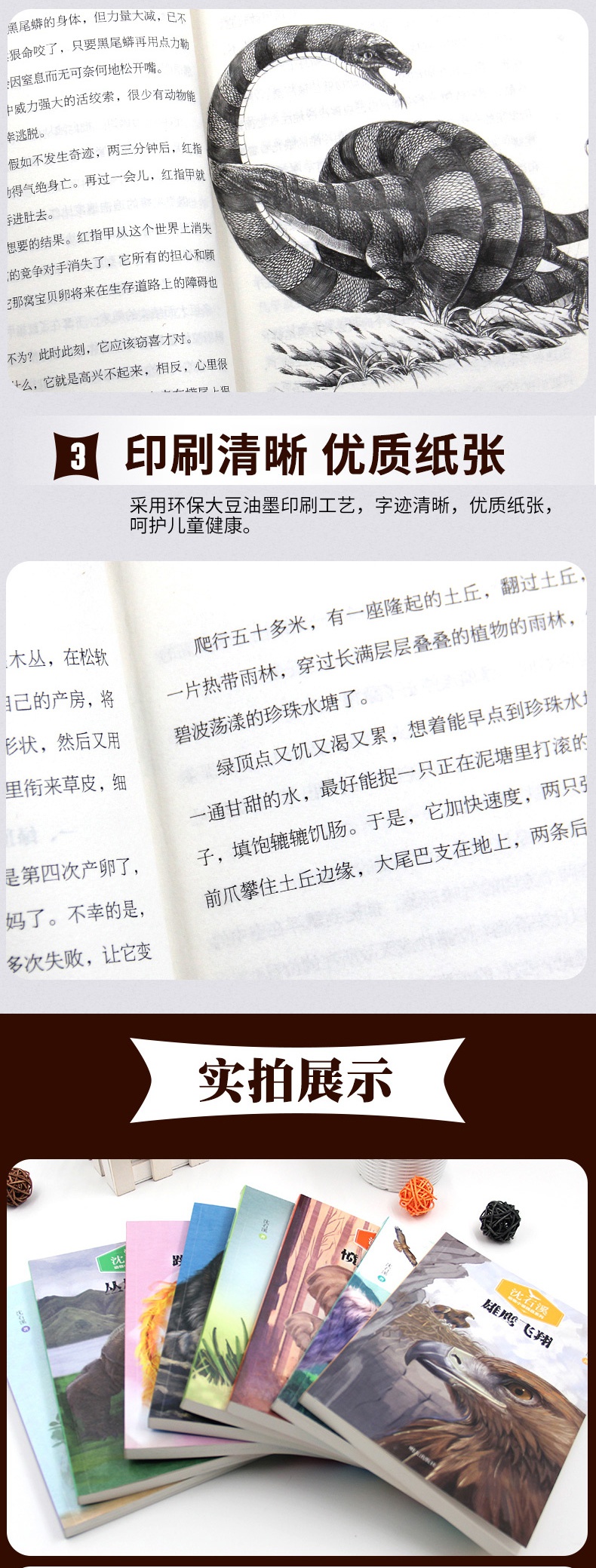 沈石溪动物小说全集正版全套8册 沈石溪的书全系列 小学生三五六年级必读课外书籍 适合5年级阅读的经典儿童读物狼王梦白狼 3 4到6